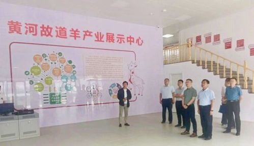 山東省人社廳赴單縣調(diào)研，推動羊肉湯專項職業(yè)技能培訓(xùn)品牌化與規(guī)范化發(fā)展